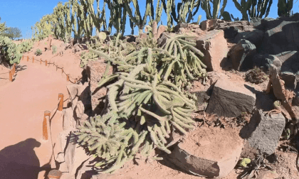 AGADIR MAROC CROCOPARK 4 29.01.24 VR Video AGADIR MAROC CROCOPARK 4 29.01.24 VR