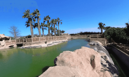 AGADIR MAROC CROCOPARK 5 29.01.24 VR Video AGADIR MAROC CROCOPARK 5 29.01.24 VR