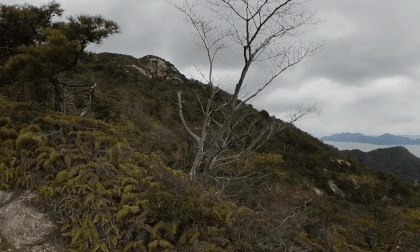 From the mountain to the sea/ view to Miyajima VR Video From the mountain to the sea/ view to Miyajima VR