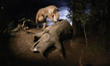 T-Rex Exhibit Milwaukee Public Museum VR Video T-Rex Exhibit Milwaukee Public Museum VR