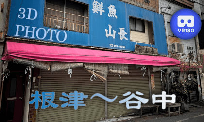 Nezu - Yanaka VR Video Nezu - Yanaka VR