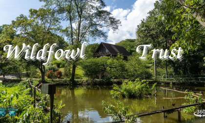 Wildfowl Trust VR Video Wildfowl Trust VR