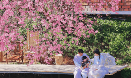 MVI_2979-stitched VR Video MVI_2979-stitched VR