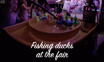 Fishing_ducks_SBS_180 VR Video Fishing_ducks_SBS_180 VR