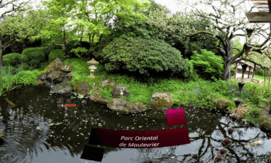 Koi garden_SBS_180 VR Video Koi garden_SBS_180 VR