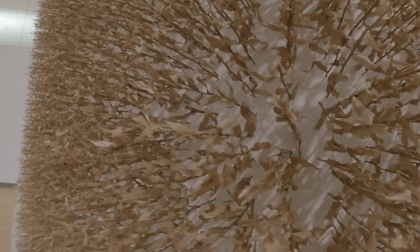 Museum of Wisconsin Art - MOWA - Art on display VR Video Museum of Wisconsin Art - MOWA - Art on display VR