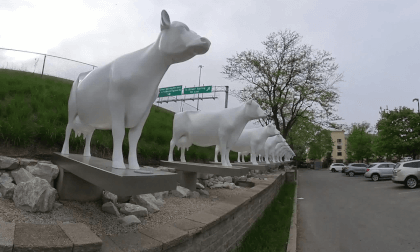 Cow Statue - Bayshore WI - Komps Custard Cow Statue - Bayshore WI - Komps Custard