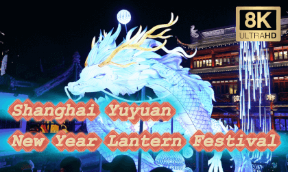 Feel the atmosphere of Chinese New Year Feel the atmosphere of Chinese New Year