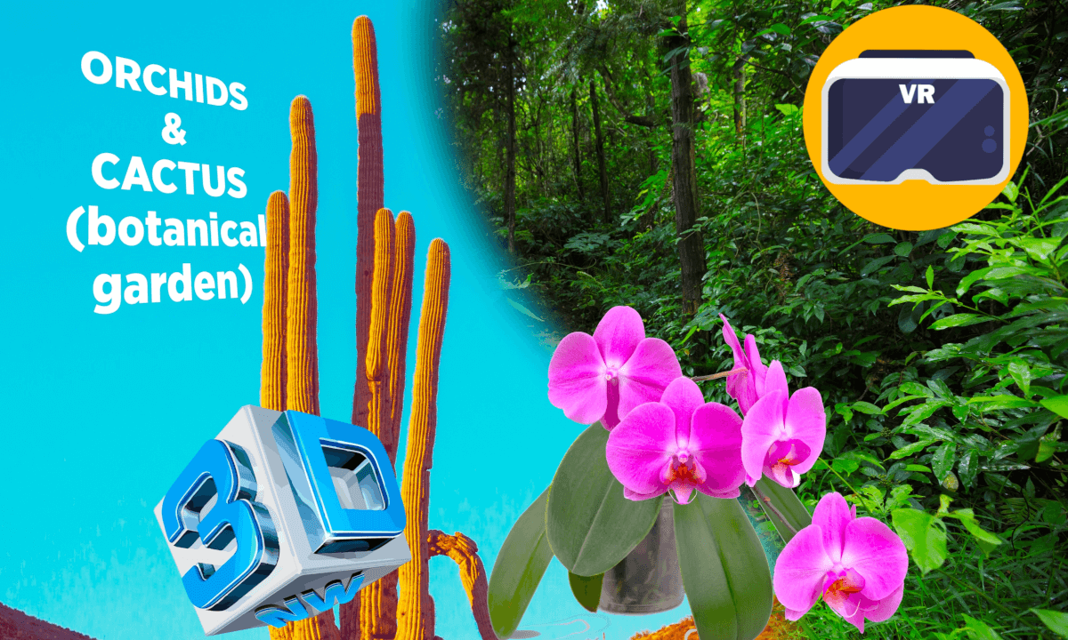 Orchids and cactus_SBS_180