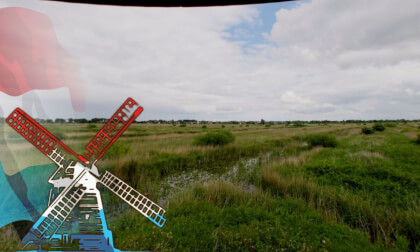 Netherlands VR - Rainy Bird Watch 8k 60fps VR180 360 3D