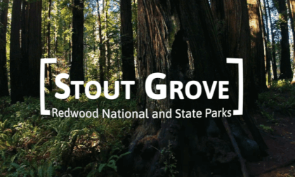 VR 360° Redwood National and State Parks - Stout Grove - 8k VR 360° Redwood National and State Parks - Stout Grove - 8k