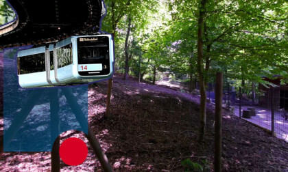Wuppertal VR (Zoo) - Deers patch of Forest 8k 60fps VR180 360 3D