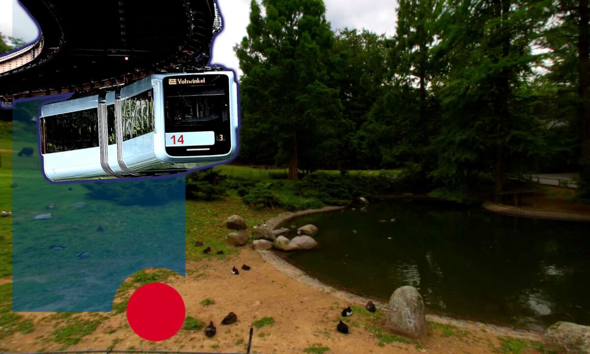 Wuppertal VR (Zoo) - Ducks Respite 8k 60fps VR180 360 3D