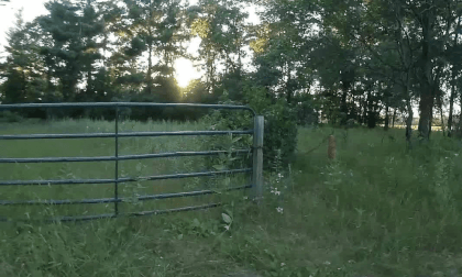 Tour of Ed Gein's Property Tour of Ed Gein's Property