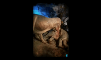 Milwaukee Public Museum - T-rex exhibit - 3D scan to VR 3D Milwaukee Public Museum - T-rex exhibit - 3D scan to VR 3D