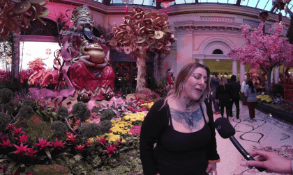Las Vegas Bellagio Chinese New Year Interviews 2024 Las Vegas Bellagio Chinese New Year Interviews 2024