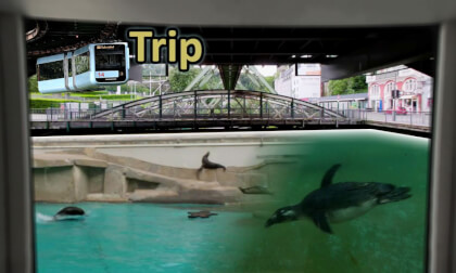 Wuppertal VR - Trip to the Zoo 8k 60fps VR180 360 3D Wuppertal VR - Trip to the Zoo 8k 60fps VR180 360 3D