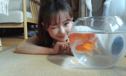 cutie girl VR Video cutie girl VR