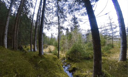 180 VR - Winter in Austria 2024 - part 02/05 VR Video 180 VR - Winter in Austria 2024 - part 02/05 VR