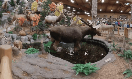 Cabela's - West Bend WI Cabela's - West Bend WI