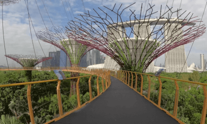 [VR180] Life in Singapore - OCBC Skyway at Garden by the Bay
