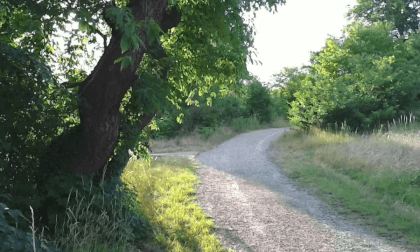Trails outside the castle VR Video Trails outside the castle VR