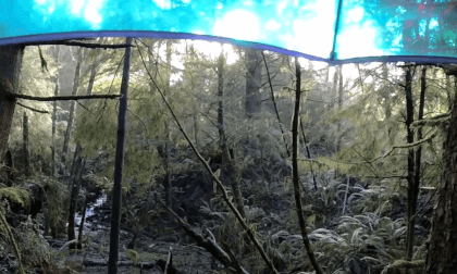 Forest Waterfall VR Video Forest Waterfall VR