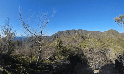 傘山  Part 2 VR Video 傘山  Part 2 VR