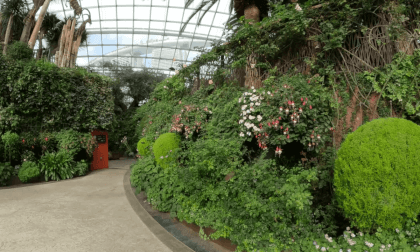 [VR180] Life in Singapore - Flower Dome at Garden by the Bay