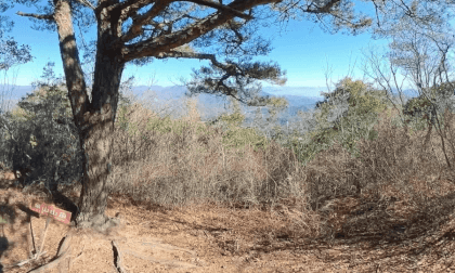 傘山 (3) Part 3 VR Video 傘山 (3) Part 3 VR