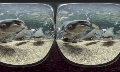 Aqua Toto Gifu Aquarium VR Video Aqua Toto Gifu Aquarium VR