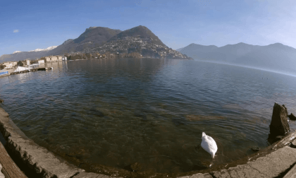 LUGANO2024 VR Video LUGANO2024 VR
