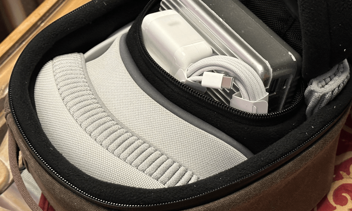 Apple Vision Pro WATERFIELD case tour