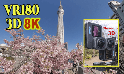 Close-up stereoscopic 3D video of Kawazu cherry blossoms with the Tokyo Skytree in the background VR Video Close-up stereoscopic 3D video of Kawazu cherry blossoms with the Tokyo Skytree in the background VR