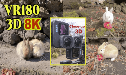 Close-up Stereoscopic 3D video of rabbits at Tsubaki-Hana-Garden in Izu-Ohshima-island,TOKYO,JAPAN VR Video Close-up Stereoscopic 3D video of rabbits at Tsubaki-Hana-Garden in Izu-Ohshima-island,TOKYO,JAPAN VR