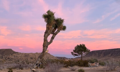 2 6 20 Sunset Pioneertown