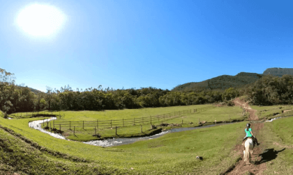 Horse Rides  #040 Just Walk Nature VR Horse Rides  #040 Just Walk Nature VR