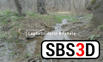 Almost spring VR Video Almost spring VR