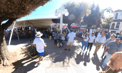 2024-03-02 Fiesta de la Vendimia Colchagua 2024