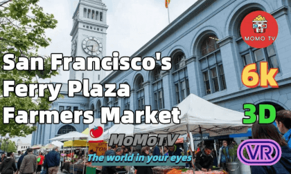 VR Walk in San Francisco's largest Morning Market - Ferry Plaza Farmers Market 6K 3D 360VR @360 VR Walk in San Francisco's largest Morning Market - Ferry Plaza Farmers Market 6K 3D 360VR @360
