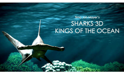 Sharks Kings of the Ocean 3D Trailer VR Video Sharks Kings of the Ocean 3D Trailer VR
