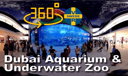Dubai Aquarium & Underwater Zoo VR Video Dubai Aquarium & Underwater Zoo VR
