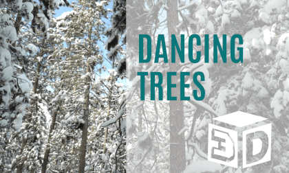 Morning Tree Dance: Timelapse of Sunrise in the snowing Forest VR Video Morning Tree Dance: Timelapse of Sunrise in the snowing Forest VR