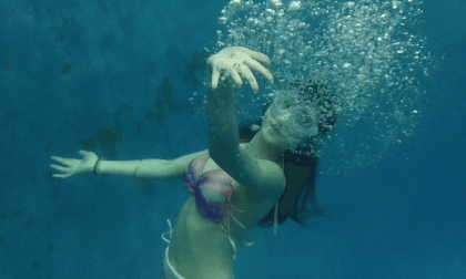 The Mermaid The Mermaid