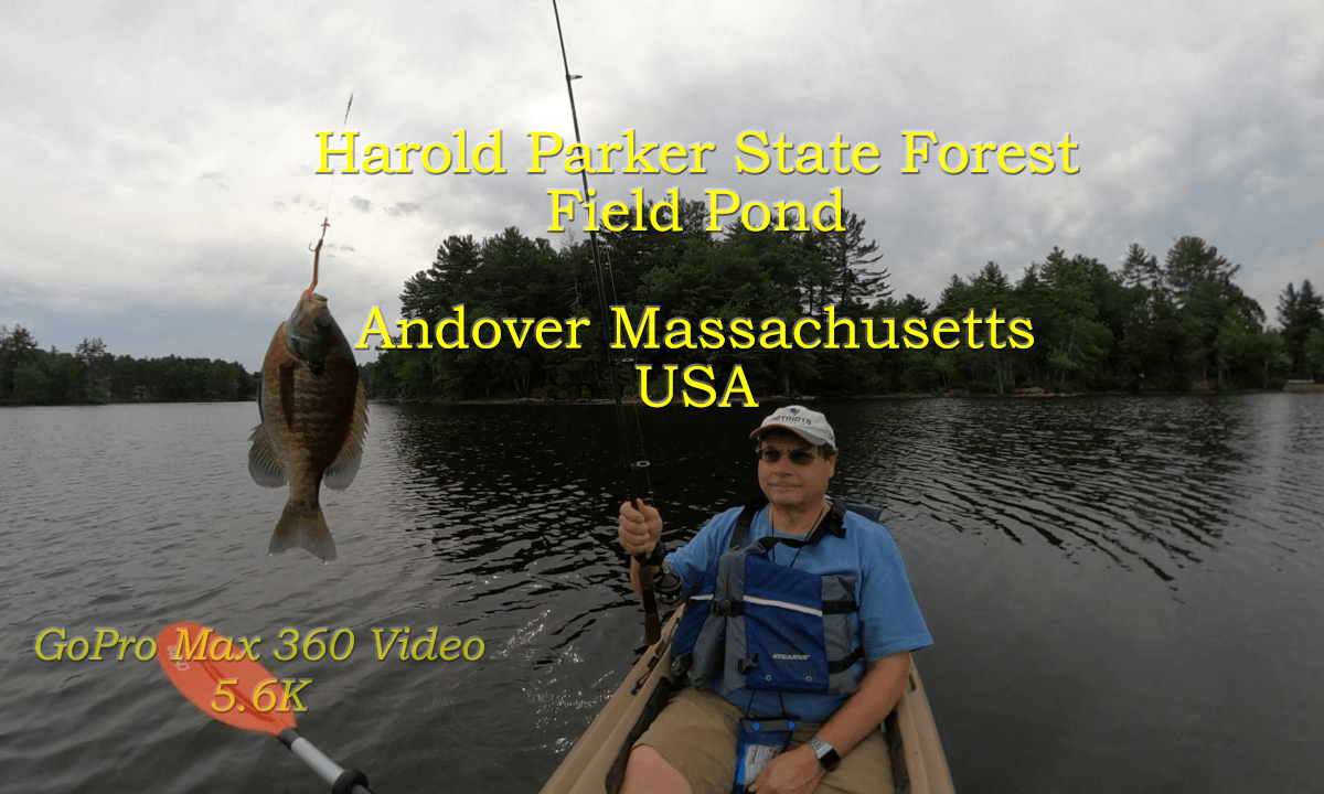 Harold Parker State Forest - A Relaxing Day Fishing On Field Pond