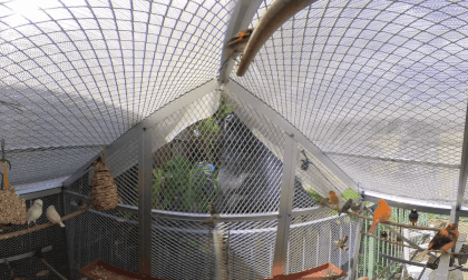 birds360 VR Video birds360 VR