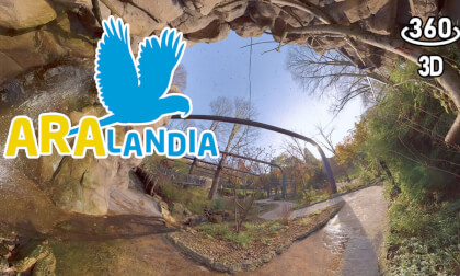 Aralandia - A wedding aviary for macaws Aralandia - A wedding aviary for macaws