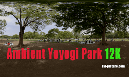 Ambient＿Yoyogi Park_12K