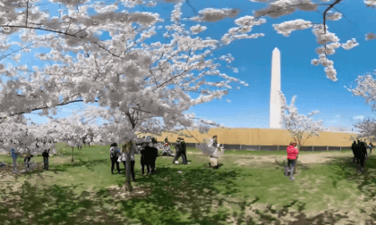 Montgomery College 360 -  Cherry Blossom Festival, Tidal Basin VR Video Montgomery College 360 -  Cherry Blossom Festival, Tidal Basin VR
