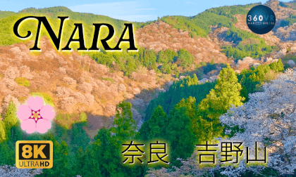 Cherry Blossoms of Yoshino-yama, 吉野山の桜 Mt.Yoshino,Nara -Travel JAPAN-